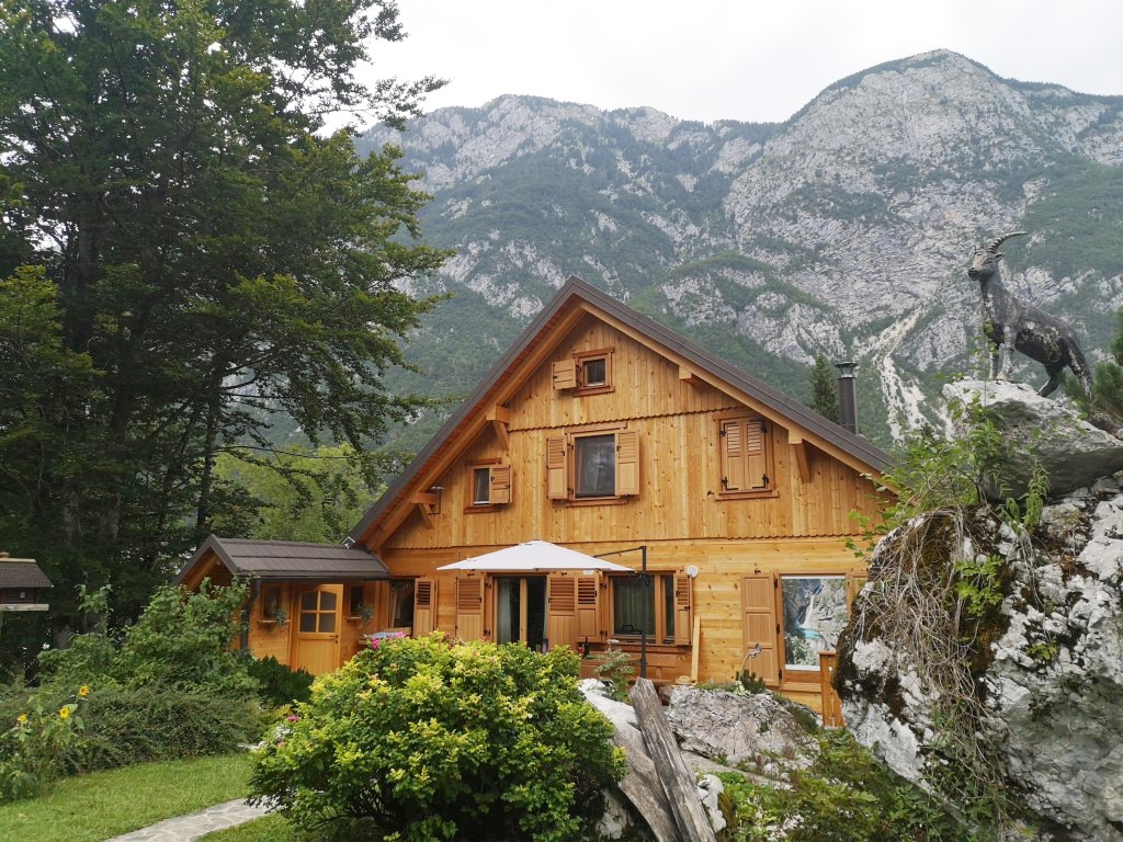 Vir slike: Belaj.si Masivna smrekova bruna